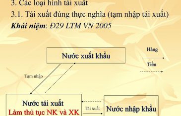 3.1.Taixuatdungthucnghiatamnhaptaixuat